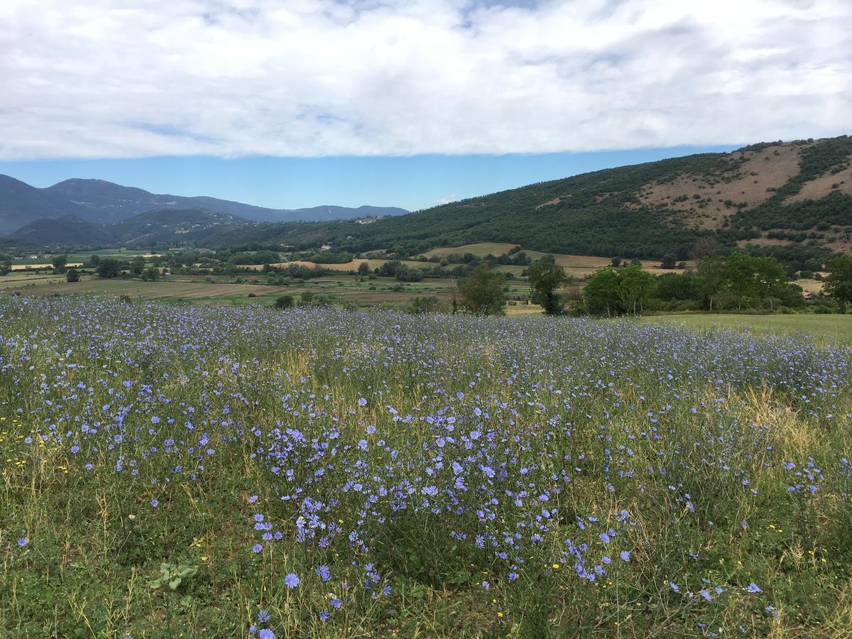 Tenuta Due Laghi Rivodutri Exteriér fotografie